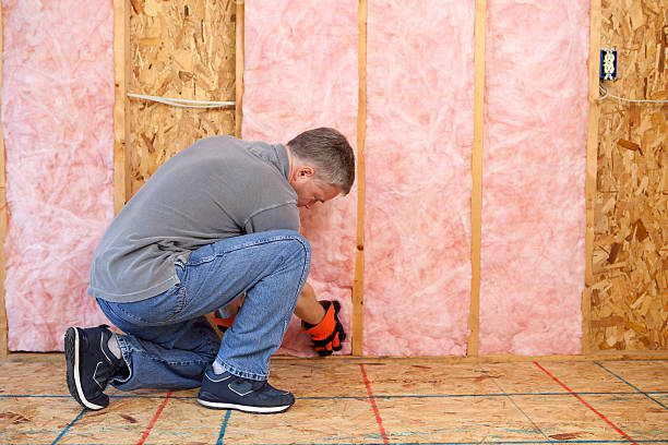 Best Commercial Insulation Services  in Winthrop, MN